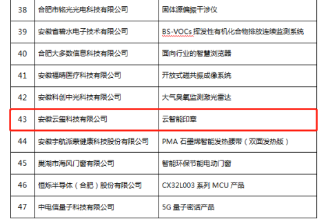 恭喜！云智能印章入選安徽省第九批信息消費(fèi)創(chuàng)新產(chǎn)品名單！(圖3)